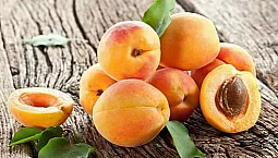 10 meilleures variétés d'abricots pour la voie du milieu